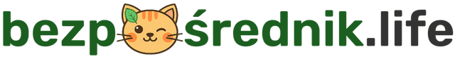 Bezpośrednik Life Logo